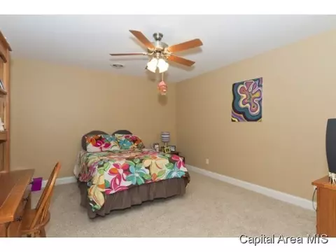 3529 Tamarak, Springfield, IL 62712 photo 17