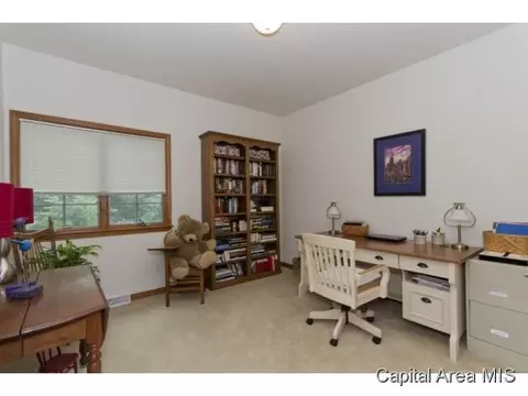 234 Whitman, Springfield, IL 62711 photo 12