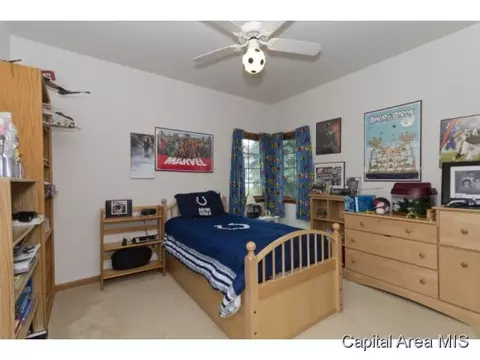 234 Whitman, Springfield, IL 62711 photo 14