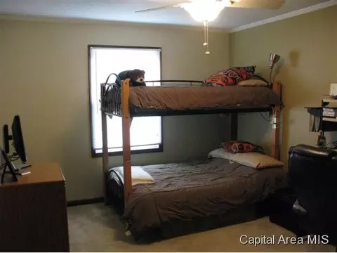 4 Sarah, Springfield, IL 62703 photo 14