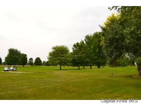 218 Sebring, Springfield, IL 62707 photo 3