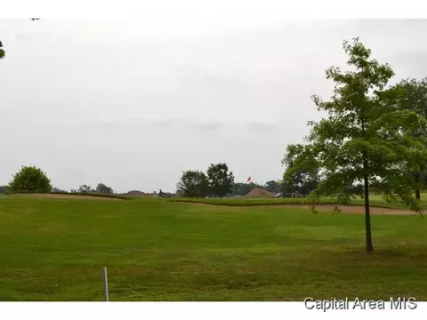 218 Sebring, Springfield, IL 62707 photo 4