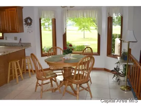 218 Sebring, Springfield, IL 62707 photo 5