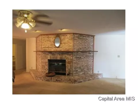 1264 Lee Rd, Bluffs, IL 62621 photo 3