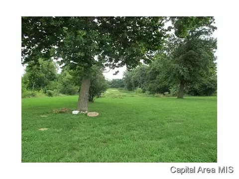 1264 Lee Rd, Bluffs, IL 62621 photo 10