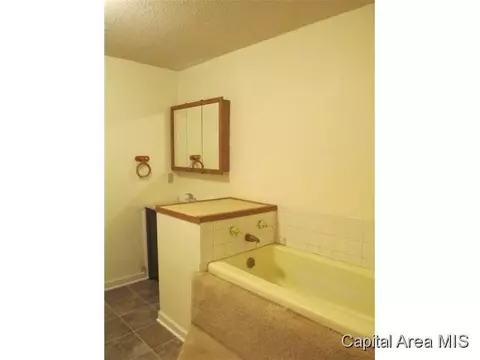 1264 Lee Rd, Bluffs, IL 62621 photo 9