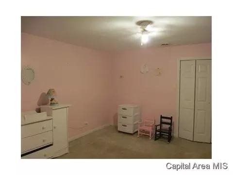 1264 Lee Rd, Bluffs, IL 62621 photo 8