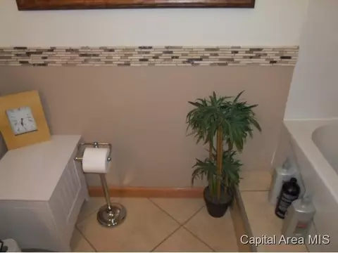 2229 Eleanor, Springfield, IL 62702 photo 18