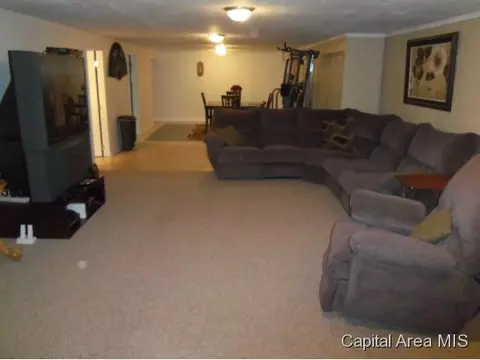 2229 Eleanor, Springfield, IL 62702 photo 16
