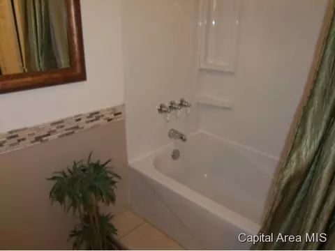 2229 Eleanor, Springfield, IL 62702 photo 19