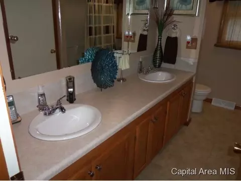2229 Eleanor, Springfield, IL 62702 photo 13