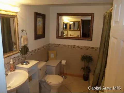 2229 Eleanor, Springfield, IL 62702 photo 17