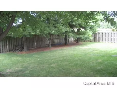 1909 Strawberry Ln, Springfield, IL 62707 photo 18