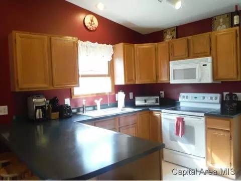 1228 Christopher, Springfield, IL 62712 photo 13