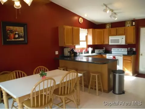 1228 Christopher, Springfield, IL 62712 photo 12