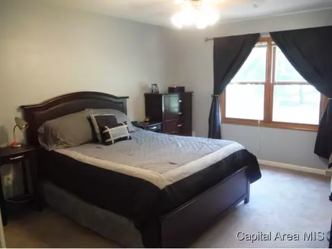 1228 Christopher, Springfield, IL 62712 photo 20