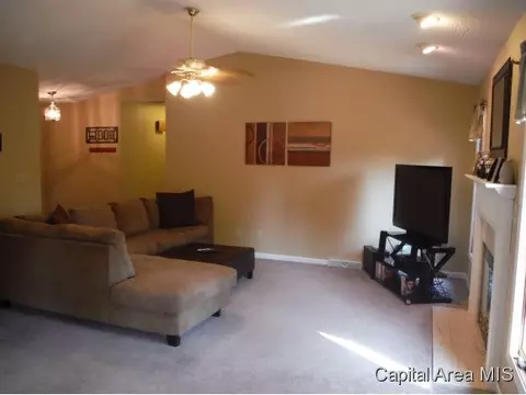 1228 Christopher, Springfield, IL 62712 photo 11