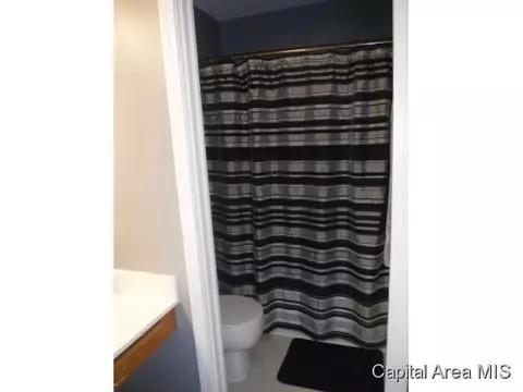 1228 Christopher, Springfield, IL 62712 photo 23