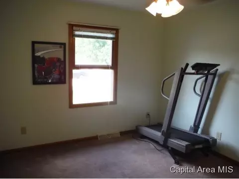1228 Christopher, Springfield, IL 62712 photo 19