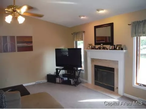 1228 Christopher, Springfield, IL 62712 photo 10