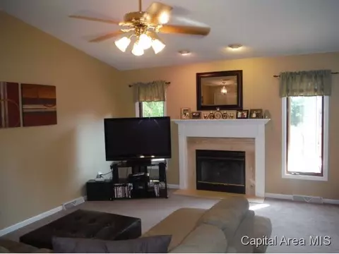 1228 Christopher, Springfield, IL 62712 photo 9