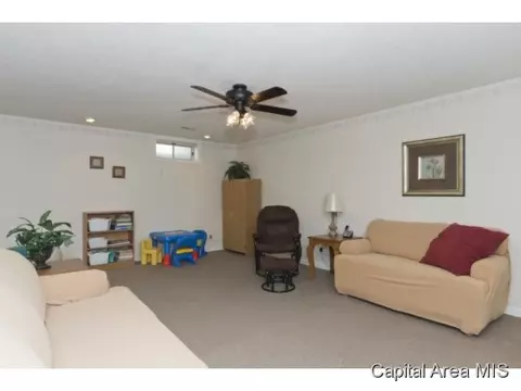 8207 Stirrup Ln, Springfield, IL 62707 photo 17