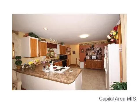 3959 W Washington, Springfield, IL 62711 photo 11