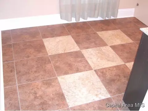 404 S Walnut, Springfield, IL 62704 photo 21