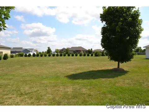 300 Walnut Gln, Springfield, IL 62707 photo 10