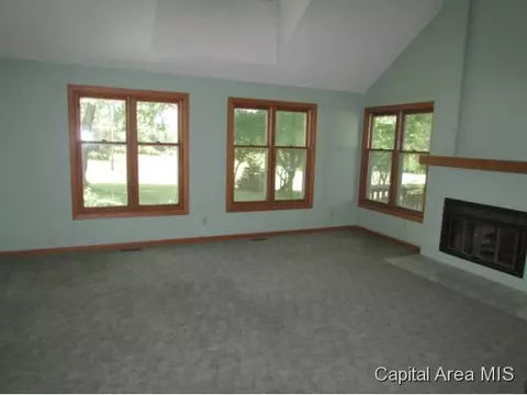 38 Chimney View Ln, Springfield, IL 62707 photo 11