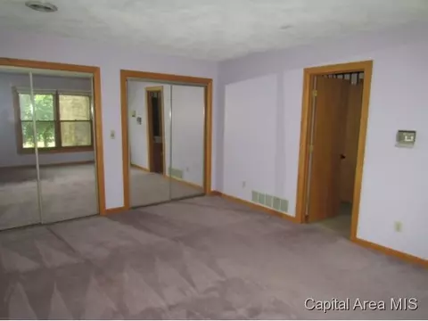 38 Chimney View Ln, Springfield, IL 62707 photo 17