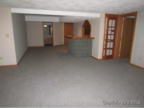 38 Chimney View Ln, Springfield, IL 62707 photo 15
