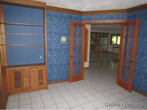 38 Chimney View Ln, Springfield, IL 62707 photo 13