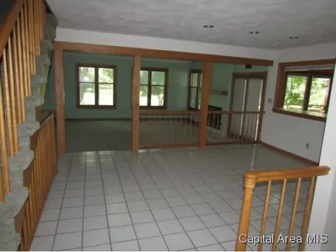 38 Chimney View Ln, Springfield, IL 62707 photo 14