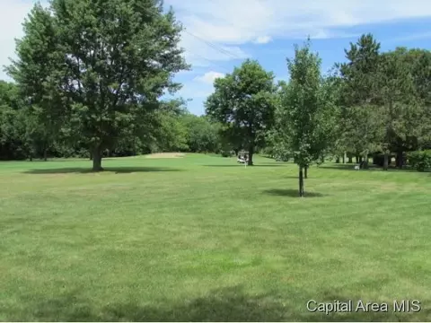 38 Chimney View Ln, Springfield, IL 62707 photo 5