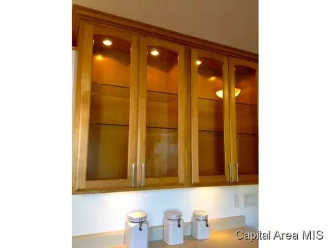 41 Scarlet, Springfield, IL 62704 photo 21