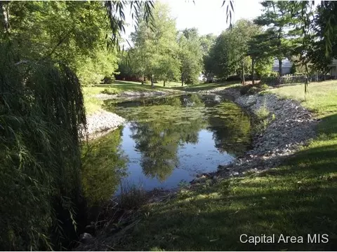 103 Nevermind, Chatham, IL 62629 photo 5