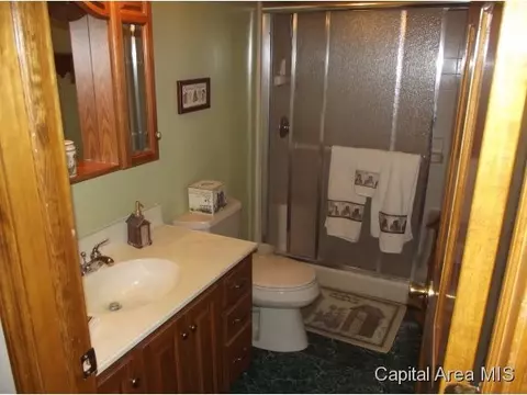 103 Nevermind, Chatham, IL 62629 photo 15