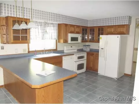 103 Nevermind, Chatham, IL 62629 photo 11