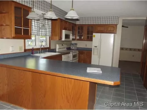 103 Nevermind, Chatham, IL 62629 photo 19