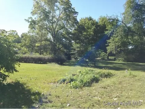 1301 Archer Elevator Rd, Springfield, IL 62711 photo 19