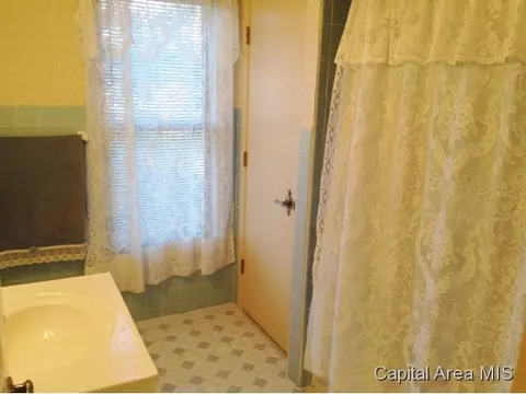 1301 Archer Elevator Rd, Springfield, IL 62711 photo 14