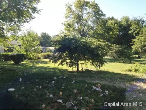 1301 Archer Elevator Rd, Springfield, IL 62711 photo 20