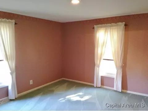 1301 Archer Elevator Rd, Springfield, IL 62711 photo 11