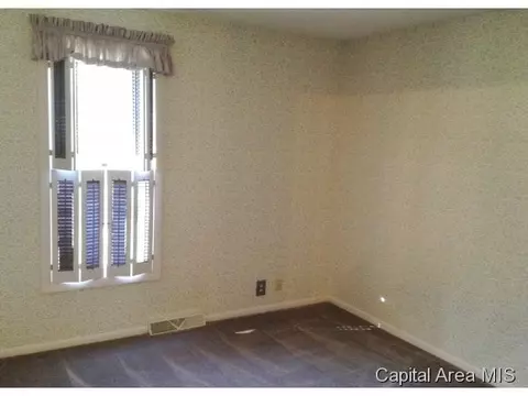 1301 Archer Elevator Rd, Springfield, IL 62711 photo 13