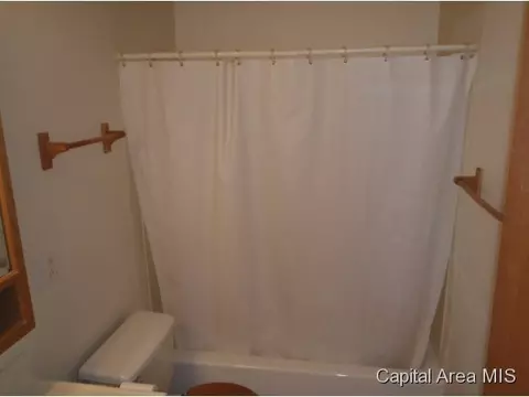 216 N Lincoln, Springfield, IL 62702 photo 8