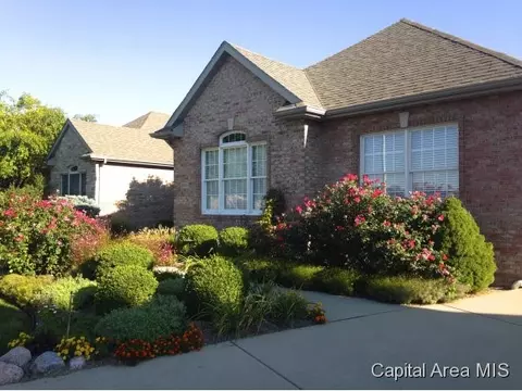 2333 Tara Ln, Springfield, IL 62704 photo 23