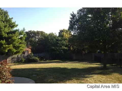 2333 Tara Ln, Springfield, IL 62704 photo 22