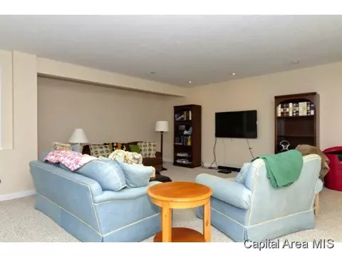 2333 Tara Ln, Springfield, IL 62704 photo 16