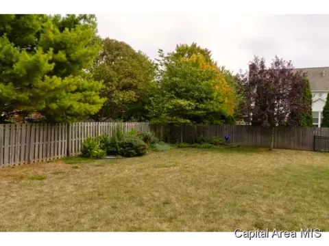 2333 Tara Ln, Springfield, IL 62704 photo 5